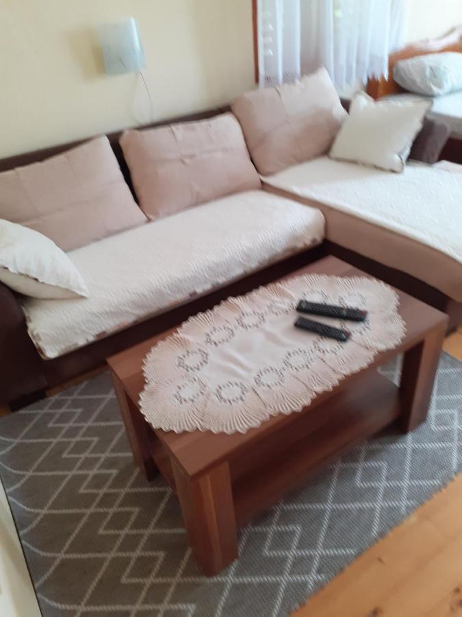 Studio Apartman Jelena Zaovine エクステリア 写真